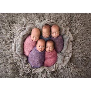 Schmidt Spiele (58301) - "Five Babies" - 1000 piezas