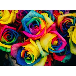 Grafika Kids (00945) - "Roses" - 300 piezas