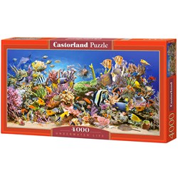 Castorland (C-400089) - "The underwater life" - 4000 piezas