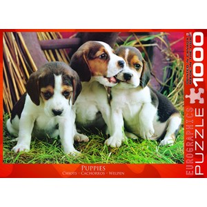 Eurographics (6000-4054) - "Puppies" - 1000 piezas