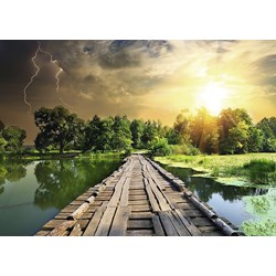 Ravensburger (19538) - "Nature Edition N°3" - 1000 piezas