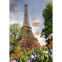Grafika Kids (01112) - "Eiffel Tower, France" - 100 piezas