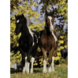 Nathan (86804) - "Horses" - 150 piezas