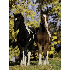 Nathan (86804) - "Horses" - 150 piezas