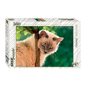 Step Puzzle (78080) - "Cat" - 560 piezas