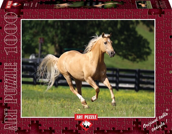 Art Puzzle (4445) - "Freedom" - 1000 piezas