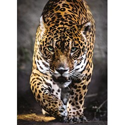 Clementoni (39326) - "Walk of the Jaguar" - 1000 piezas