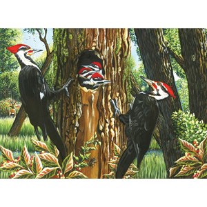 Cobble Hill (51719) - "Pileated Woodpeckers" - 1000 piezas