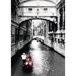 Ravensburger (19472) - "Venice" - 1000 piezas