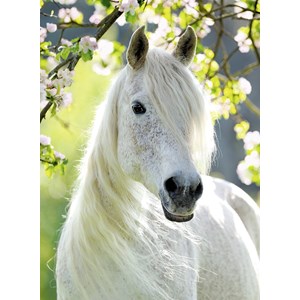 Ravensburger (14726) - "White Horse" - 500 piezas