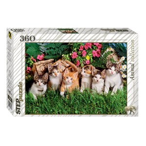 Step Puzzle (73058) - "Cat's family" - 360 piezas