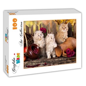 Grafika Kids (00320) - "Persian kittens" - 100 piezas