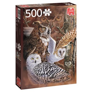 Jumbo (18346) - "Find the Owls" - 500 piezas