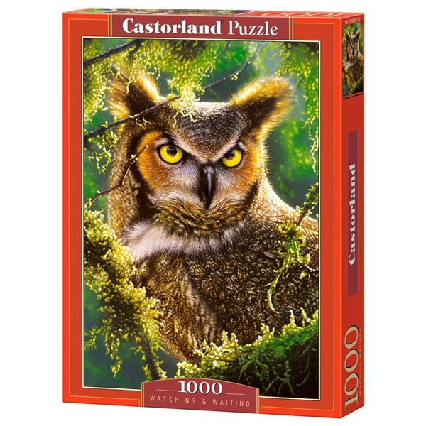 Castorland (C-103577) - "Watching & Waiting, Owl" - 1000 piezas