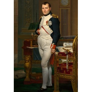 Grafika Kids (00360) - Jacques-Louis David: "The Emperor Napoleon in his study at the Tuileries, 1812" - 100 piezas