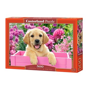 Castorland (B-52226) - "Labrador Puppy in Pink Box" - 500 piezas