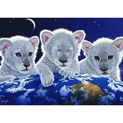 Grafika (T-00404) - Schim Schimmel, William Schimmel: "Secret, Mystery and Hope" - 1000 piezas