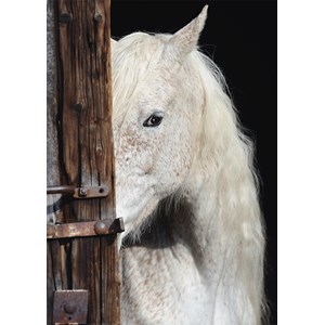 Schmidt Spiele (58278) - "Horse Beauty" - 1000 piezas