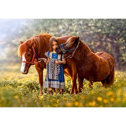 Castorland (B-52509) - "Beauty Within" - 500 piezas