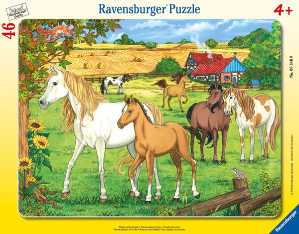 Ravensburger (06646) - "Horses on the meadow" - 46 piezas