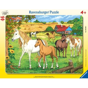 Ravensburger (06646) - "Horses on the meadow" - 46 piezas
