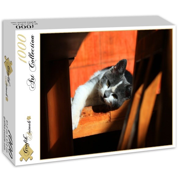Grafika (01409) - "Kitten" - 1000 piezas