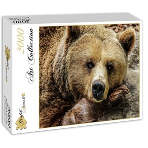 Grafika (01412) - "Bear" - 2000 piezas