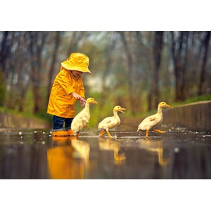 Castorland (B-52264) - "Rainy Day Friends" - 500 piezas