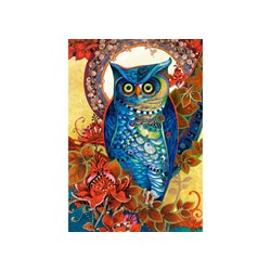 Castorland (C-151110) - David Galchutt: "Owl, Hoot" - 1500 piezas