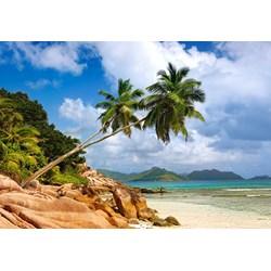 Castorland (C-103713) - "Secret Beach, Seychelles" - 1000 piezas