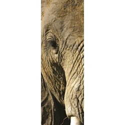 Clementoni (39307) - "Animals" - 500 piezas