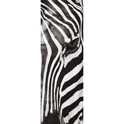 Clementoni (39307) - "Animals" - 500 piezas