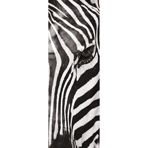 Clementoni (39307) - "Animals" - 500 piezas