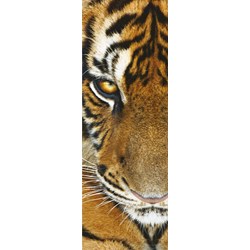 Clementoni (39307) - "Animals" - 500 piezas