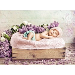 Grafika (01610) - Konrad Bak: "Baby sleeping in the Lilac" - 300 piezas