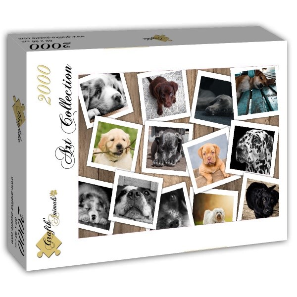 Grafika (T-00378) - "Dogs" - 2000 piezas