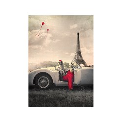 Art Puzzle (4359) - "Paris" - 1000 piezas