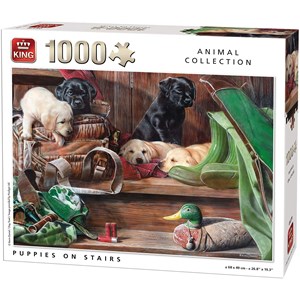 King International (05379) - "Puppies on Stairs" - 1000 piezas