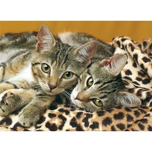 Clementoni (08103) - "Animals" - 500 1000 piezas