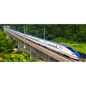 Castorland (B-060146) - "The Fast Train" - 600 piezas