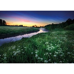 Tactic (40902) - "Summer Night" - 1000 piezas