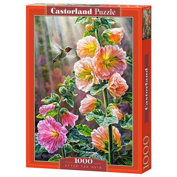 Castorland (C-103584) - "After the Rain" - 1000 piezas