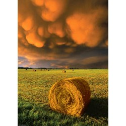 Heye (29550) - "Rising Storm" - 1000 piezas