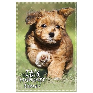 Trefl (16265) - "It's Summer Time!" - 100 piezas