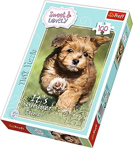 Trefl (16265) - "It's Summer Time!" - 100 piezas