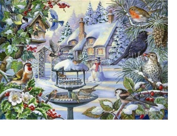 The House of Puzzles (2247) - "Winter Birds" - 500 piezas
