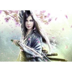 Ravensburger (19036) - "The Legend of the Five Rings" - 1000 piezas