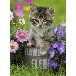 Ravensburger (10847) - "Kitten amongst the Flowers" - 100 piezas
