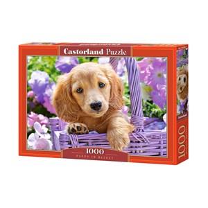 Castorland (C-103799) - "Puppy in Basket" - 1000 piezas