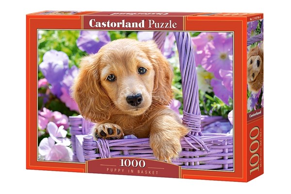 Castorland (C-103799) - "Puppy in Basket" - 1000 piezas